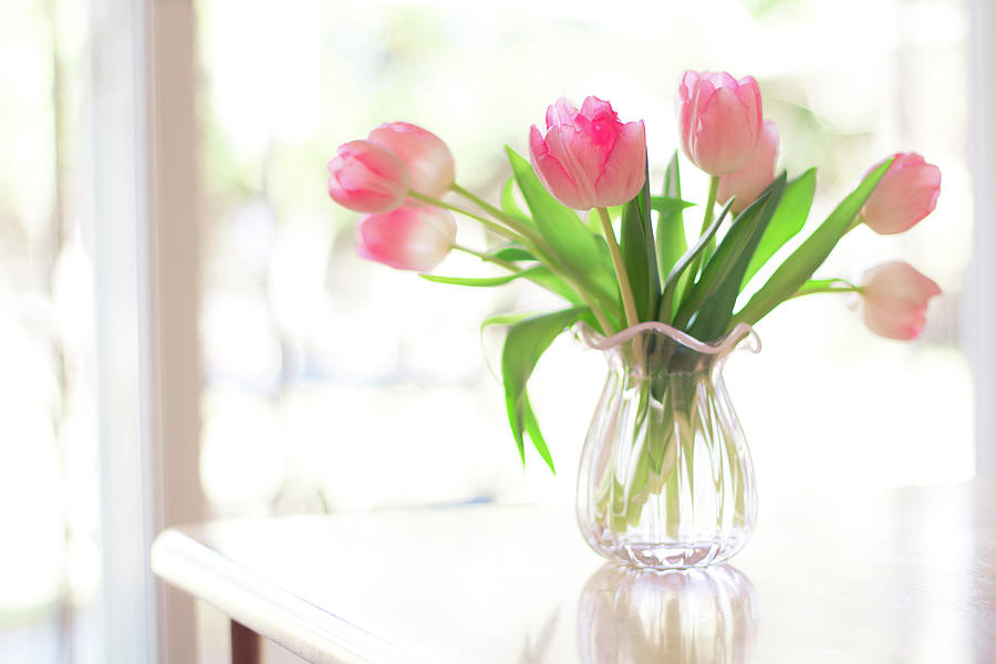 flower vases, pink tulips, decor, table accessories